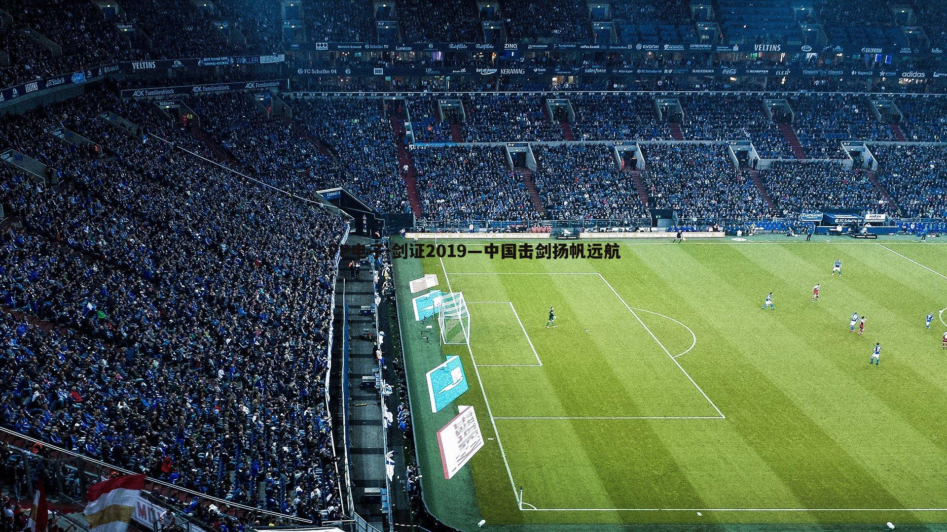 PP电子-剑证2019—中国击剑扬帆远航